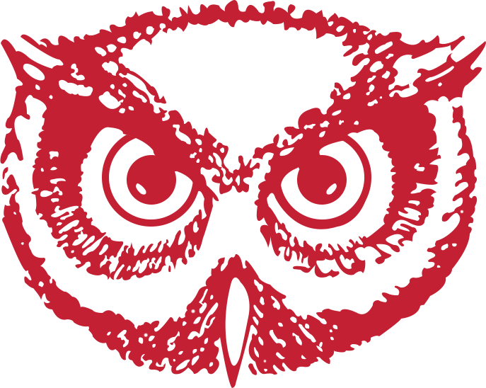 Temple Owls 1983-1996 Secondary Logo diy iron on heat transfer